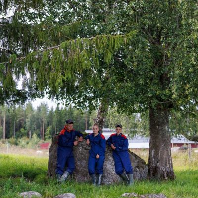 På gång på YA natur- och skogsbruk idag: 📸Photoshoot i beteshagen och på blomsteråkern. 🌲Kedjefix på skogsmaskin. 🪏Förberedelse för personaldagens no dig workshop. 🧑‍🌾

#yaösterbotten