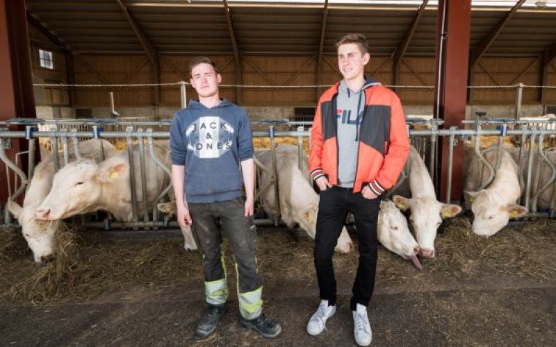 En bonde behöver du tre gånger om dagen