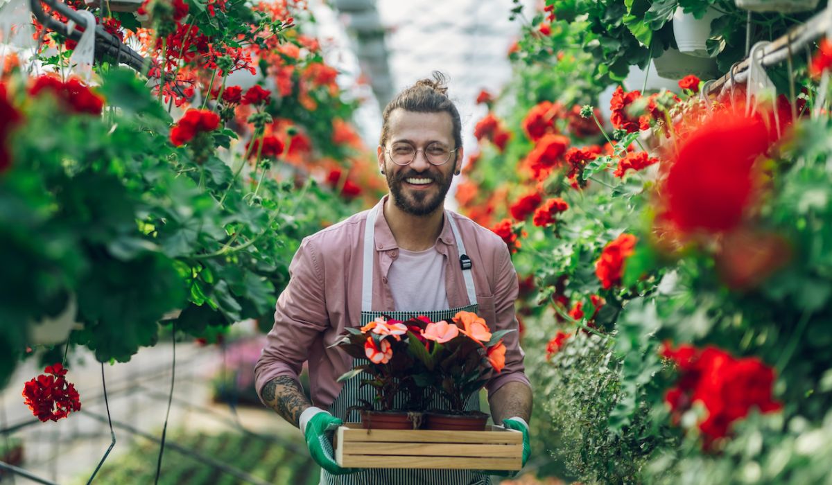 En man håller i korg av blommar i ett växthus som driver blommor