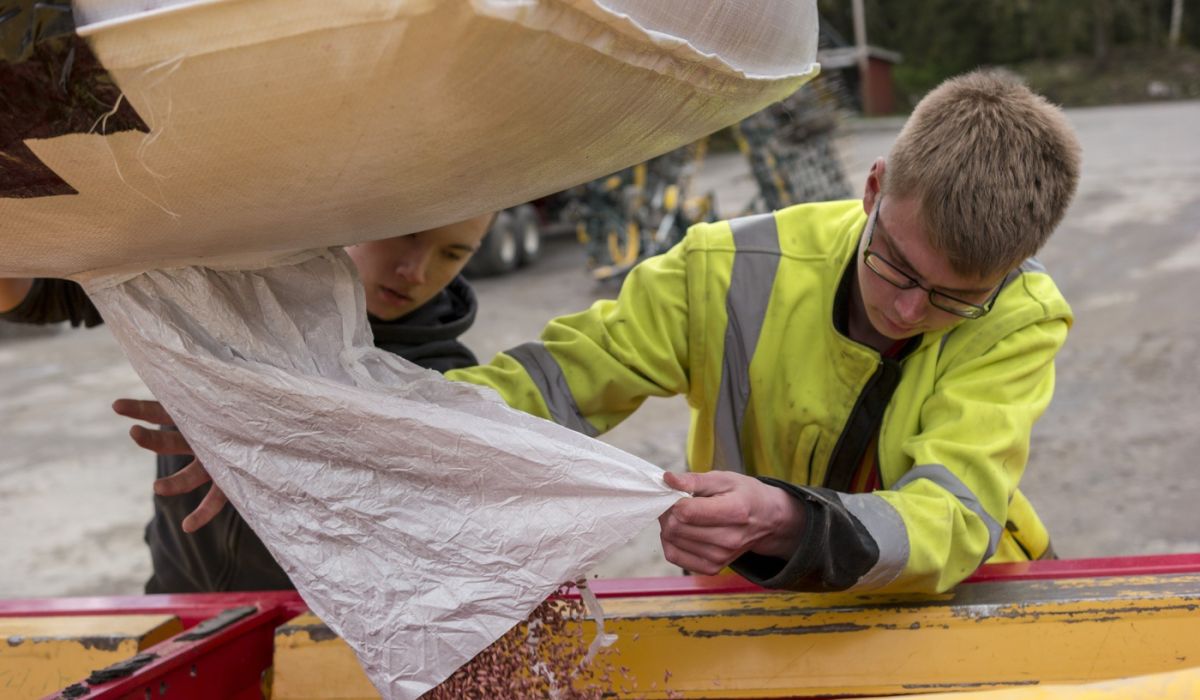 två studeranden tömmer säd i såningsmaskinen