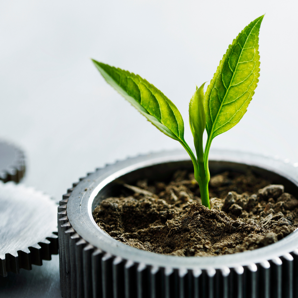 Metalliskt kugghjul med en grön växtplanta