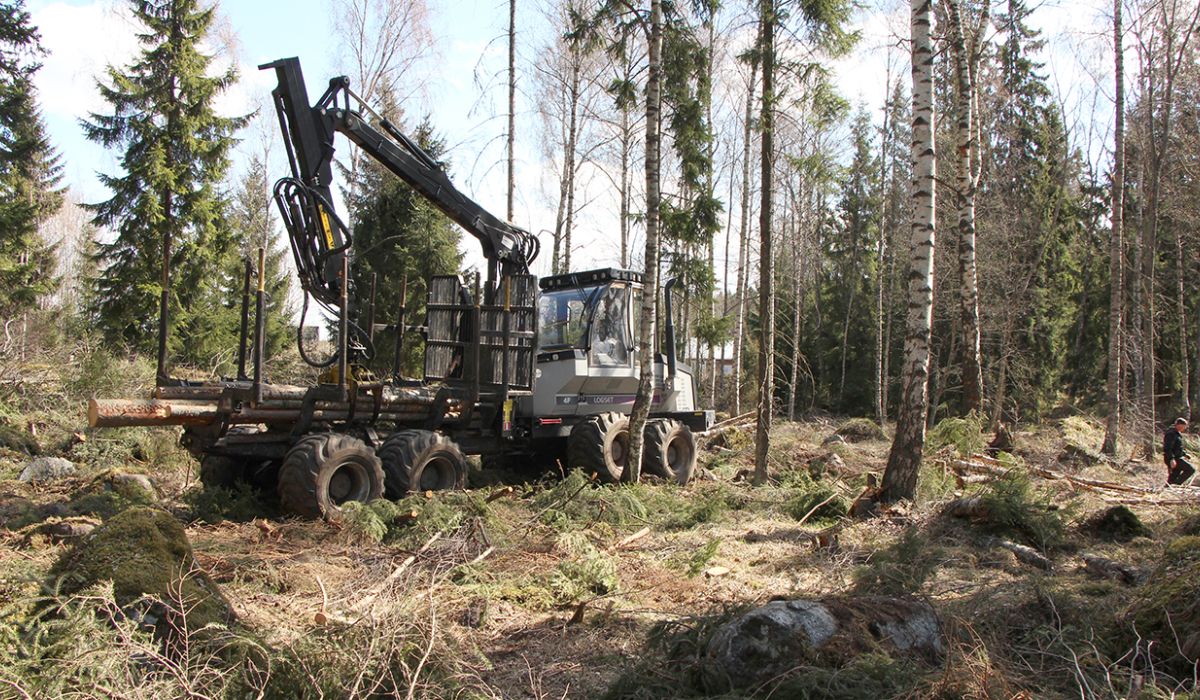 En skogsskördare i skogen